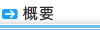概要